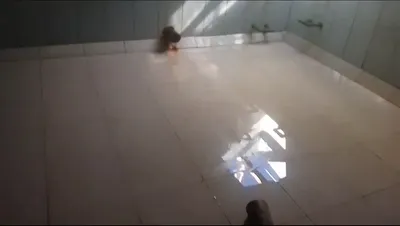 Spotless tank after cleaning